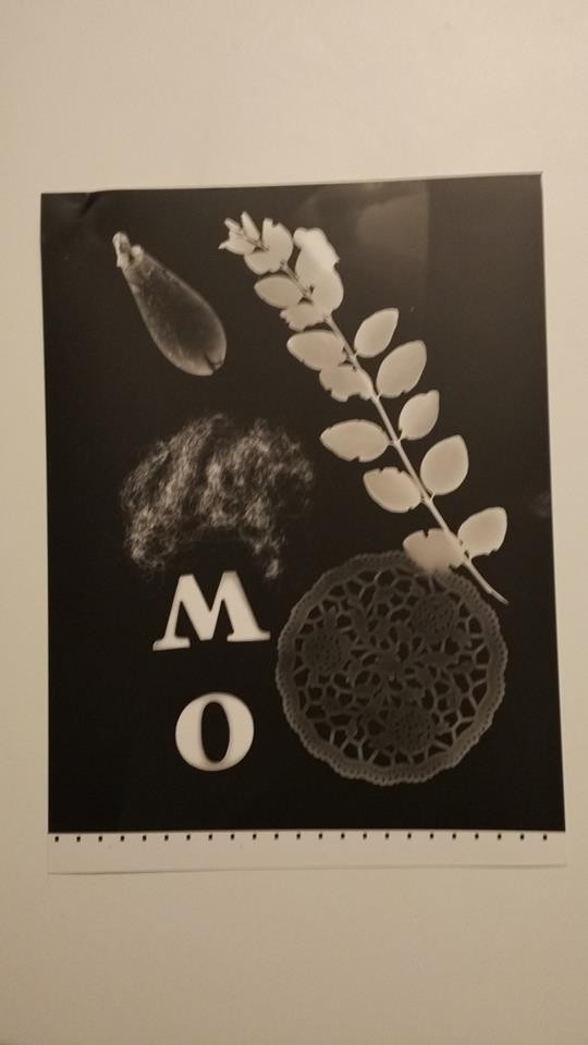 cyanotype & rayogramme